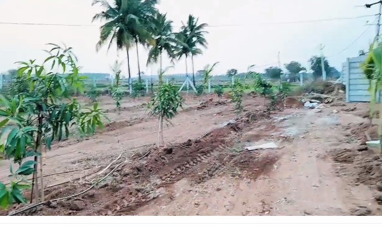 An image of land