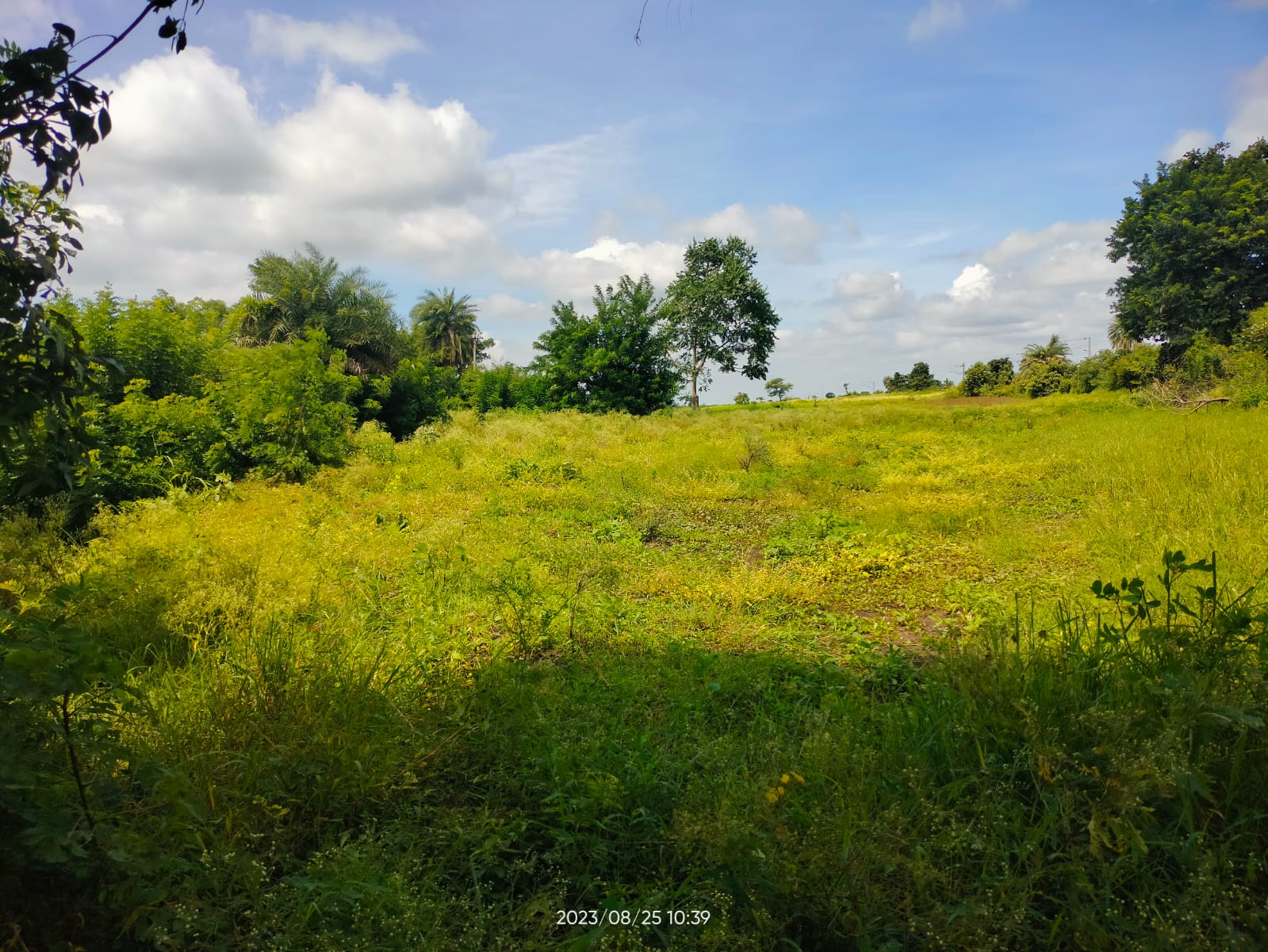 An image of land
