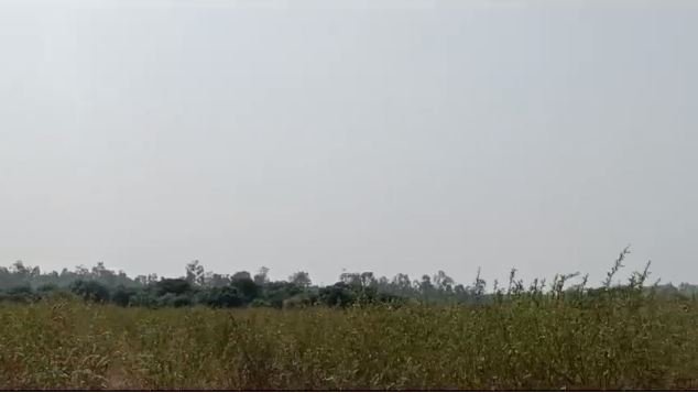 An image of land