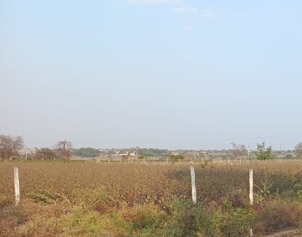 An image of land