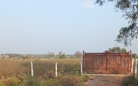 An image of land