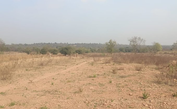 An image of land