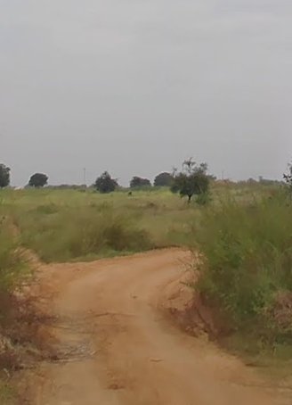 An image of land