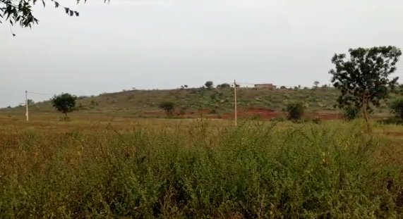 An image of land