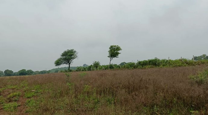An image of land
