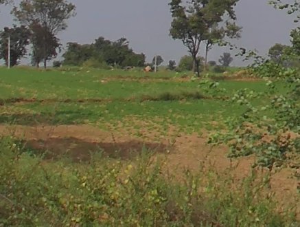 An image of land