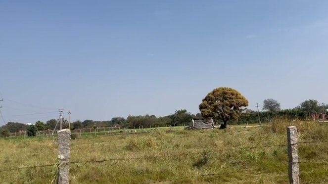 An image of land