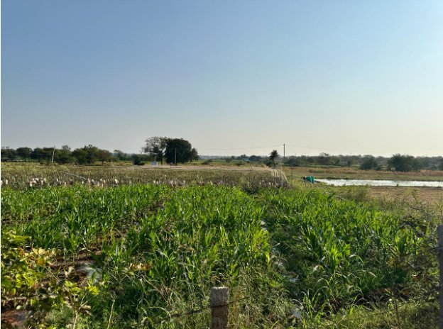 An image of land