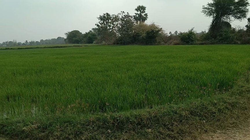 An image of land