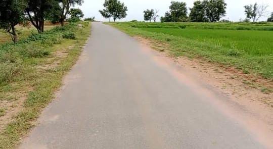 An image of land