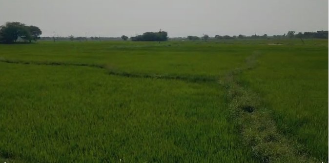 An image of land