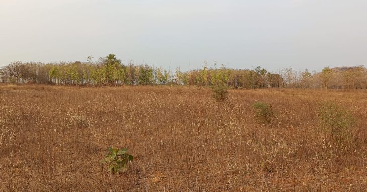 An image of land