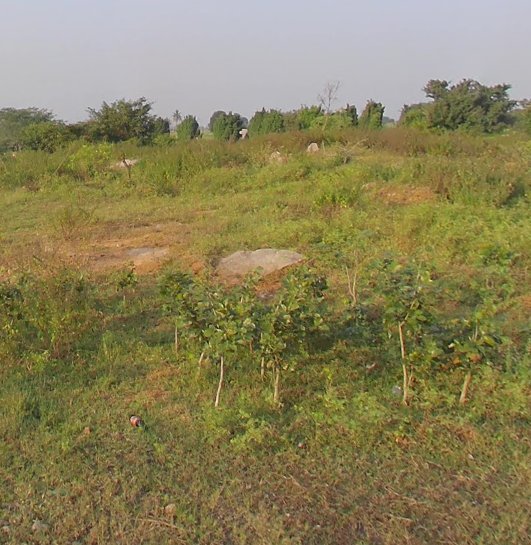 An image of land