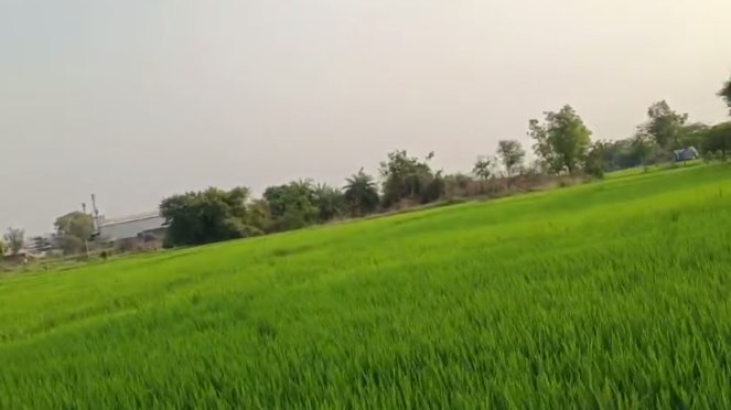 An image of land