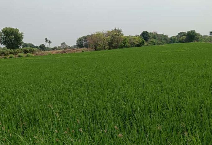 An image of land