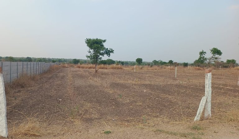 An image of land