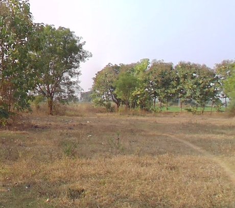 An image of land