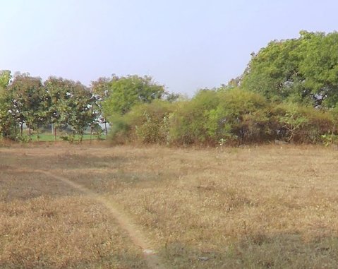 An image of land