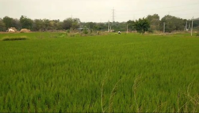 An image of land
