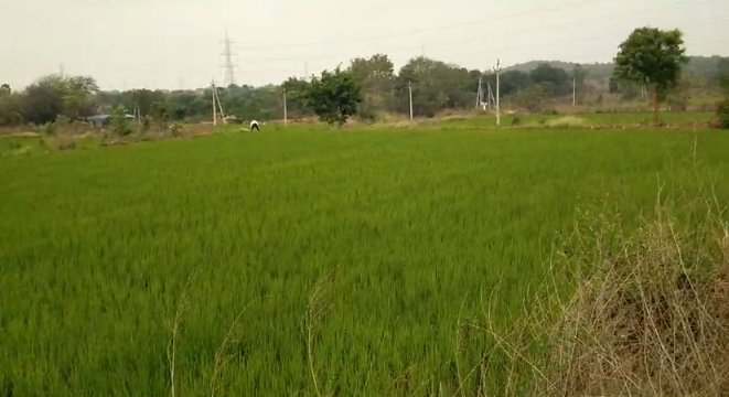 An image of land