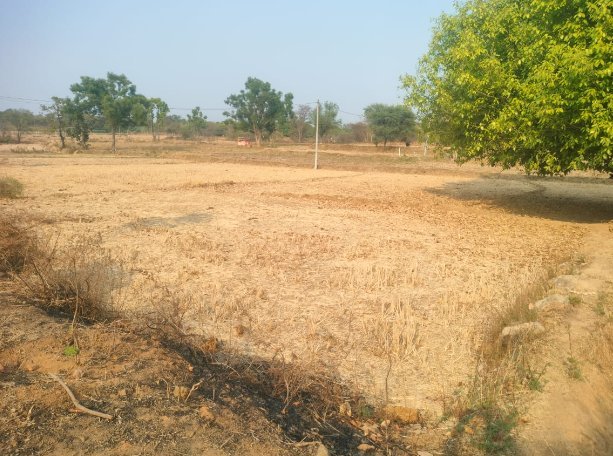 An image of land