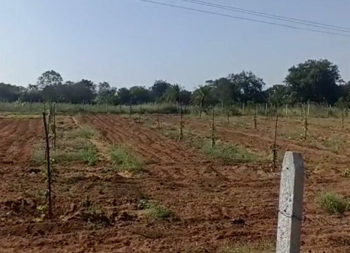 An image of land