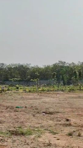 An image of land