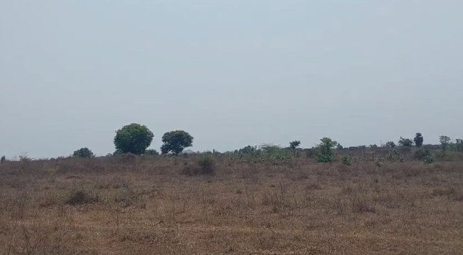 An image of land