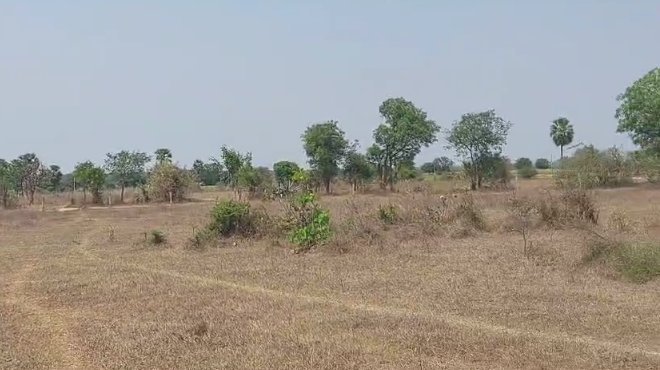 An image of land
