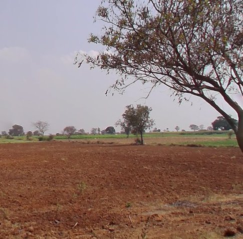 An image of land
