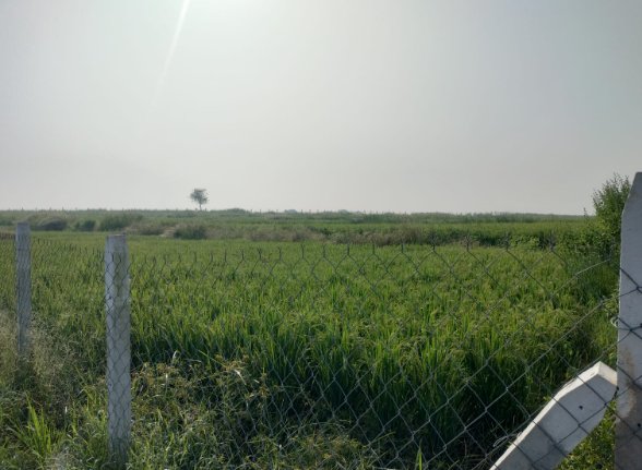An image of land