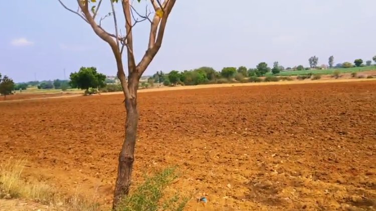 An image of land