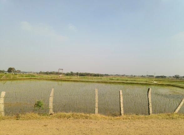 An image of land