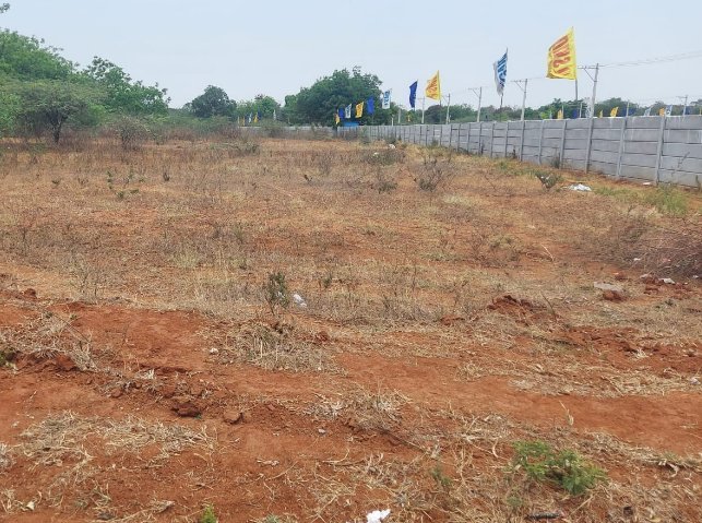 An image of land