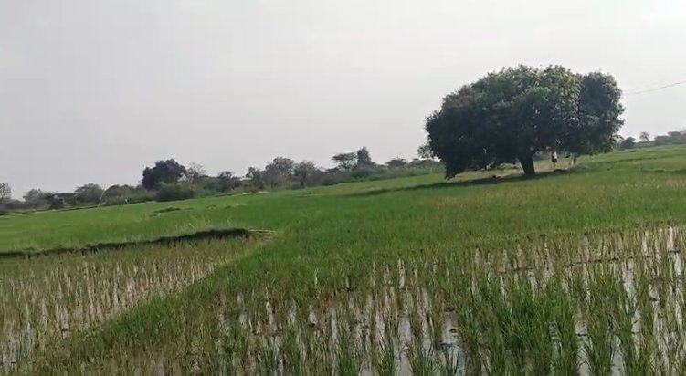 An image of land