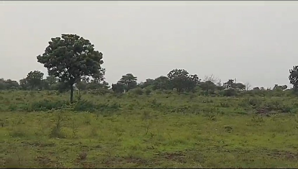An image of land