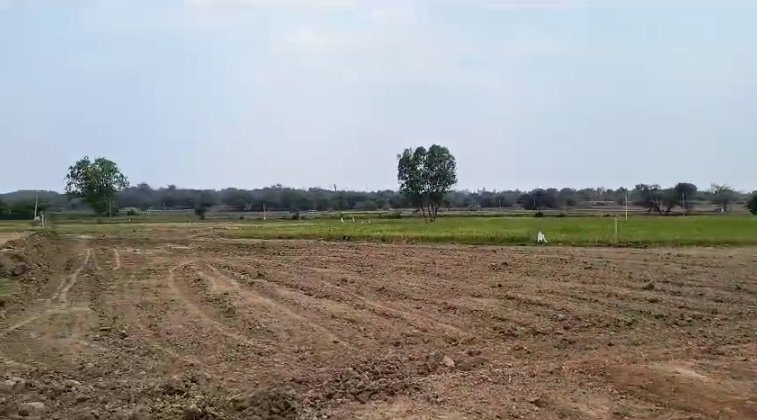 An image of land