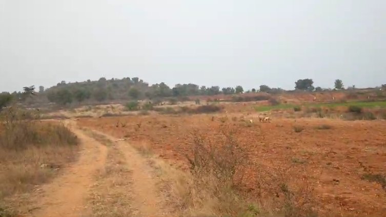 An image of land