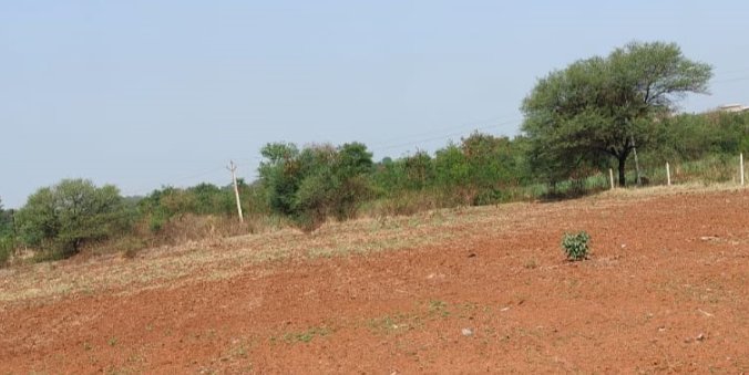 An image of land