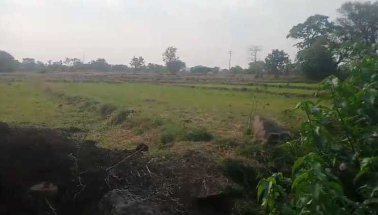 An image of land