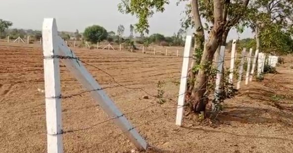 An image of land