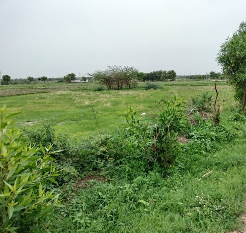 An image of land