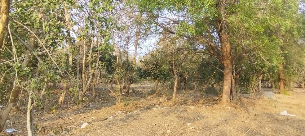 An image of land