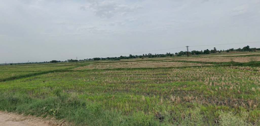 An image of land