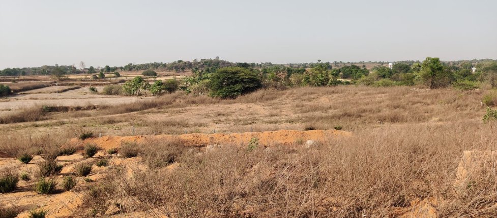 An image of land