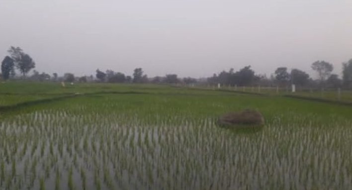 An image of land