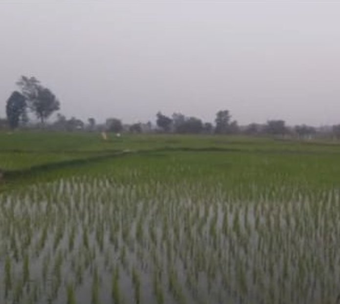 An image of land