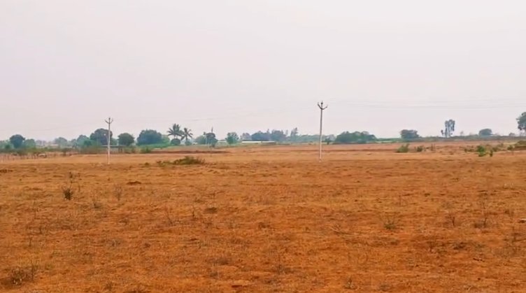An image of land