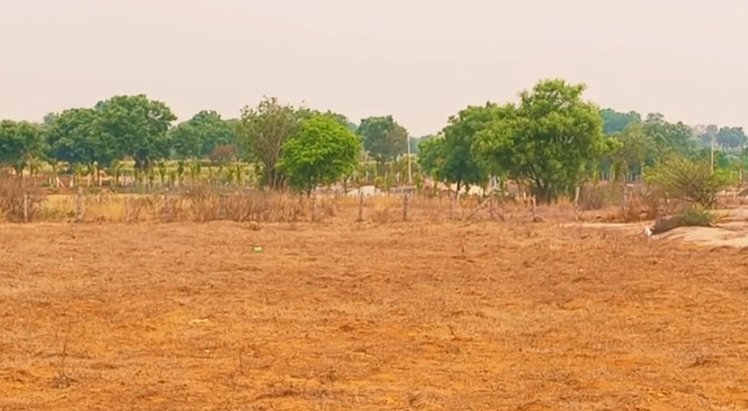 An image of land