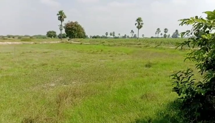 An image of land